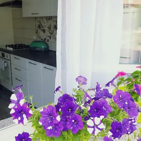 Apartman Andy Apartamento Pula