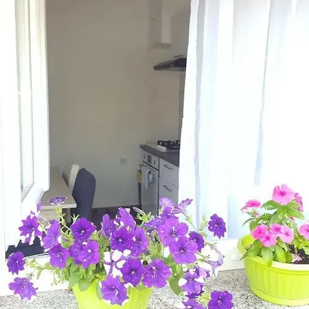 Apartman Andy Pula