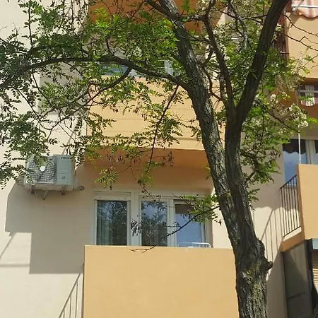 Apartman Andy *